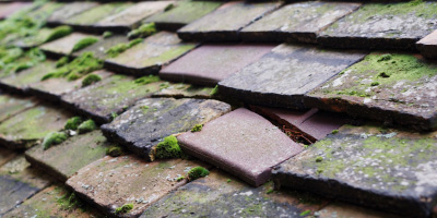 Burton Upon Trent roof repair costs